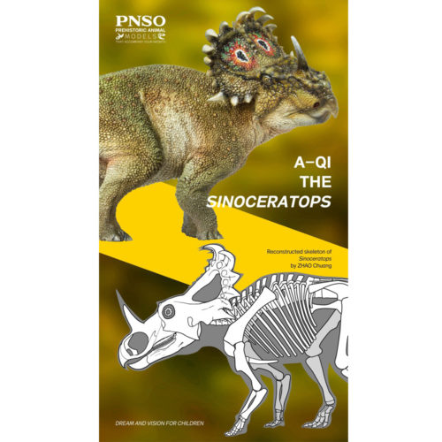 PNSO Sinoceratops with line drawing