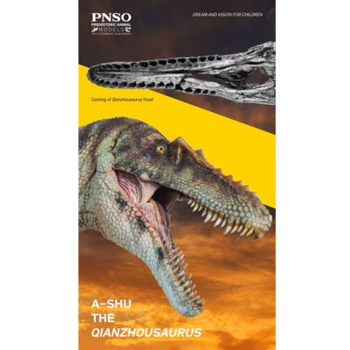 PNSO Qianzhousaurus Model (anterior view)