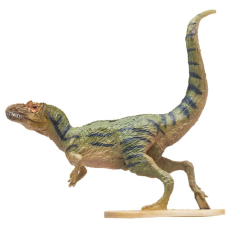 PNSO Allosaurus - PNSO Age of Dinosaurs Toys Allosaurus