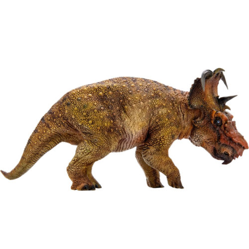 PNSO Brian Pachyrhinosaurus left lateral view