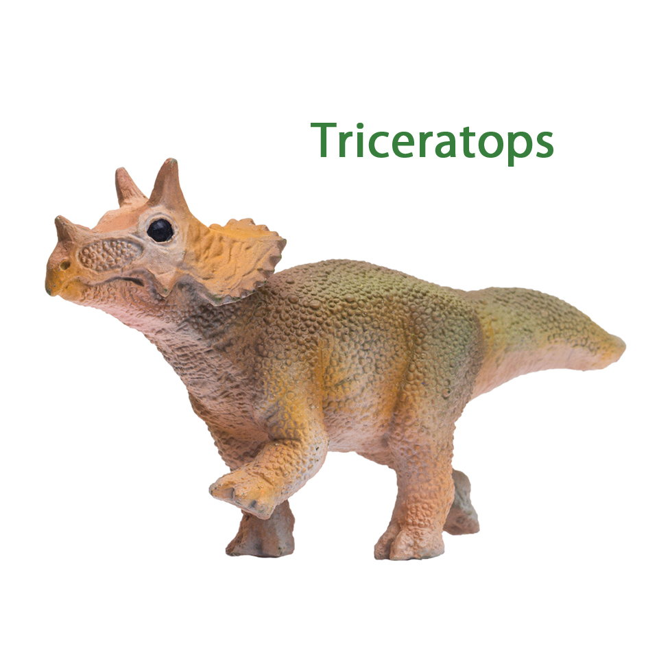 PNSO Little Triceratops PNSO Age of Dinosaurs Toys Little