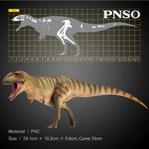PNSO Carcharodontosaurus and skeletal drawing