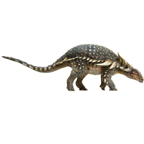 PNSO Isaac Sauropelta left lateral view