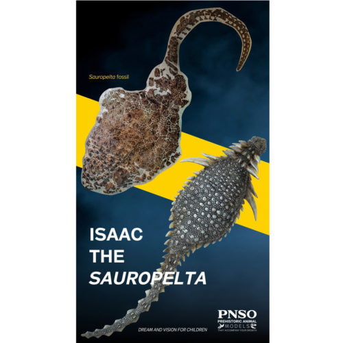 PNSO Sauropelta figure (dorsal view) plus picture of fossil specimen