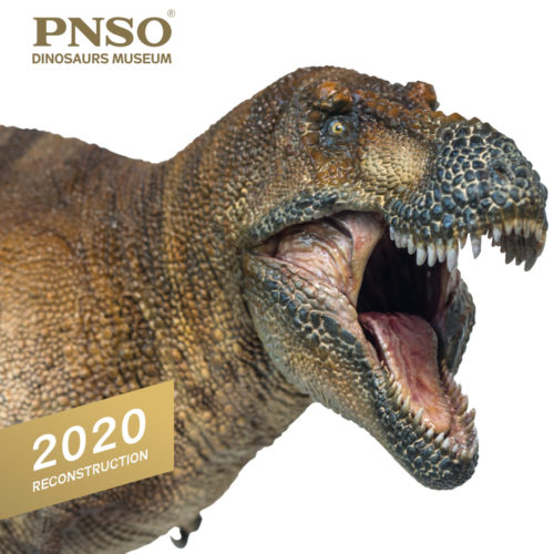 PNSO Wilson Tyrannosaurus rex dinosaur model