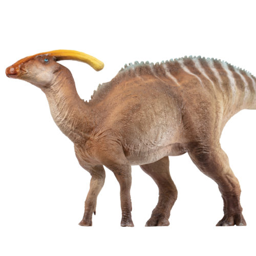 PNSO Wyatt the Parasaurolophus Dinosaur Model