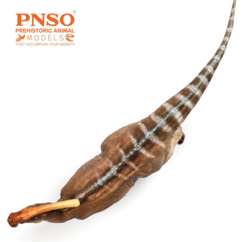 A dorsal view of the PNSO Parasaurolophus