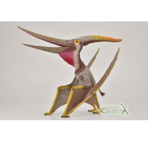 CollectA Deluxe 1:15 Scale Pteranodon longiceps