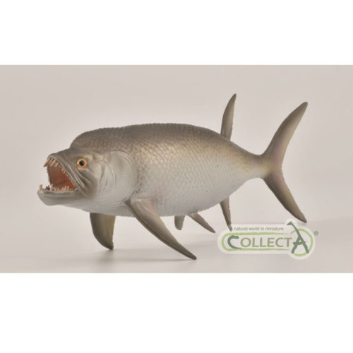 CollectA Deluxe 1:40 Scale Xiphactinus