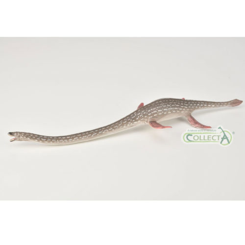 CollectA Age of Dinosaurs Popular Elasmosaurus