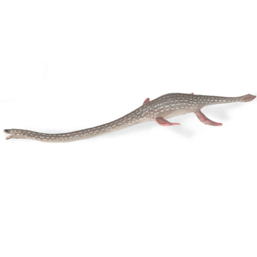 CollectA Age of Dinosaurs Popular Elasmosaurus