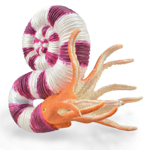 CollectA Pravitoceras Ammonite Model