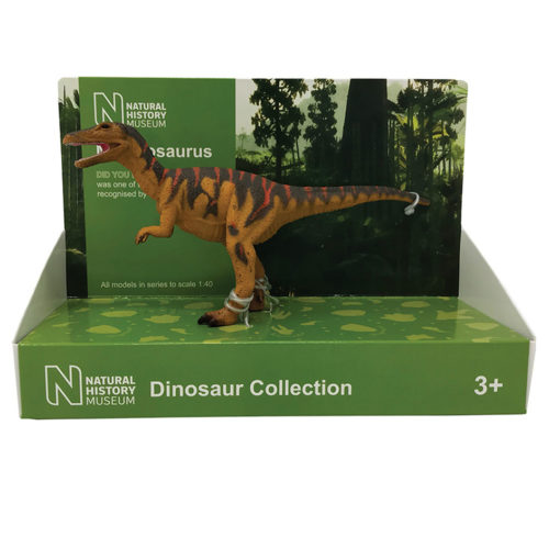 Natural History Museum Megalosaurus