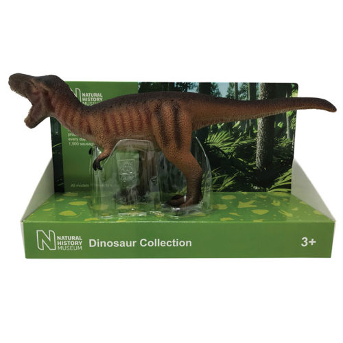 Natural History Museum Tyrannosaurus rex
