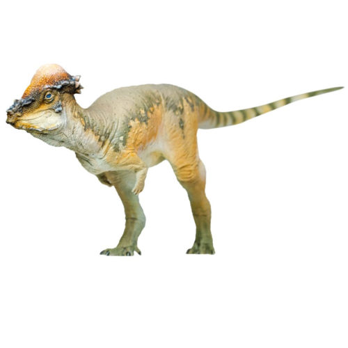 PNSO Austin the Pachycephalosaurus
