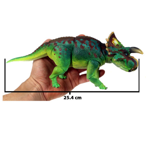 Beasts of the Mesozoic Avaceratops lammersi model measurements