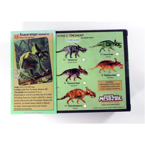 Beasts of the Mesozoic Avaceratops lammersi packaging (rear)