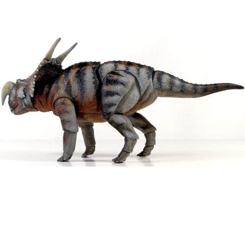 Beasts of the Mesozoic Einiosaurus procurvicornis lateral view