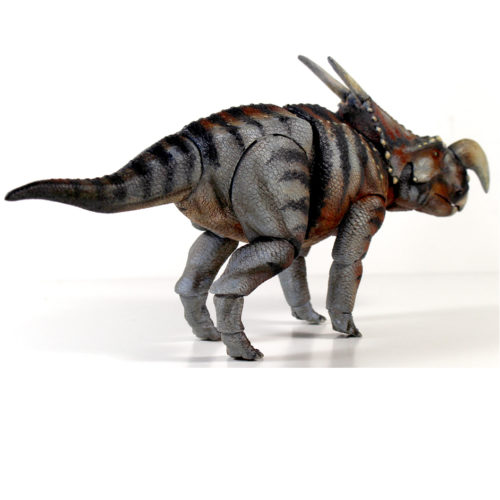 Beasts of the Mesozoic Einiosaurus procurvicornis posterior view