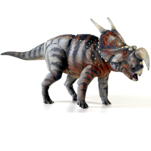 Beasts of the Mesozoic Einiosaurus procurvicornis dinosaur model