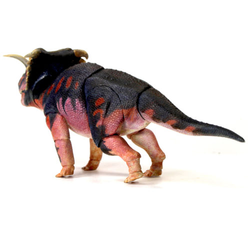 Beasts of the Mesozoic Kosmoceratops richardsoni posterior view