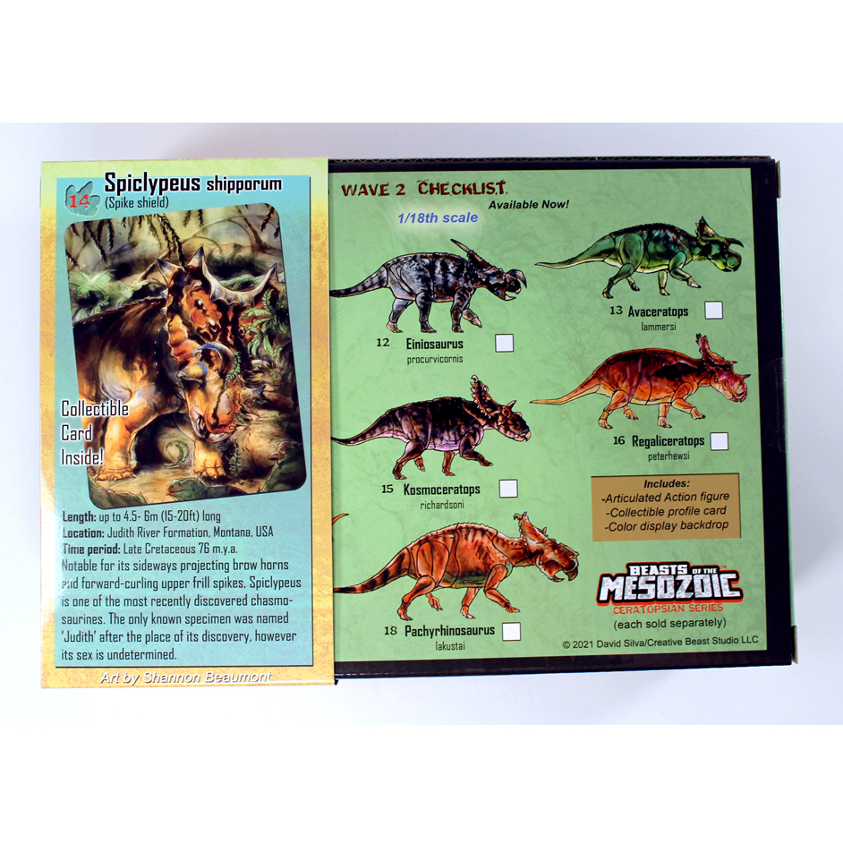 Beasts of the Mesozoic Spiclypeus shipporum - Everything Dinosaur