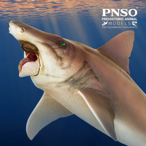 PNSO Haylee the Helicoprion model