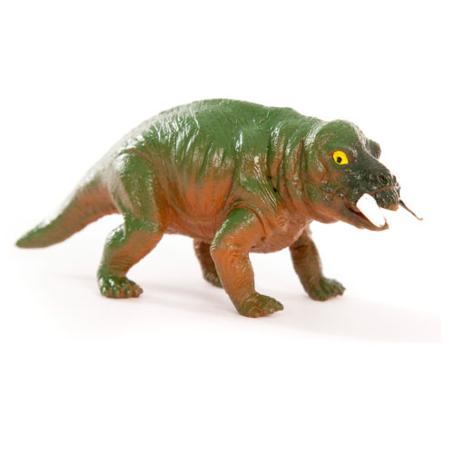 Placerias prehistoric animal model