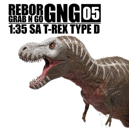 Rebor GNG05 1:35 scale SA T. rex Type D