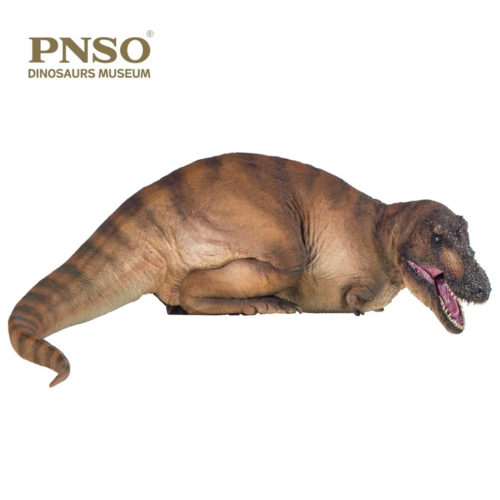 PNSO Andrea the female T. rex in resting pose.