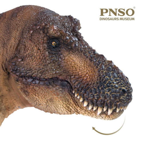 PNSO Tyrannosaurus rex model with an articulated lower jaw