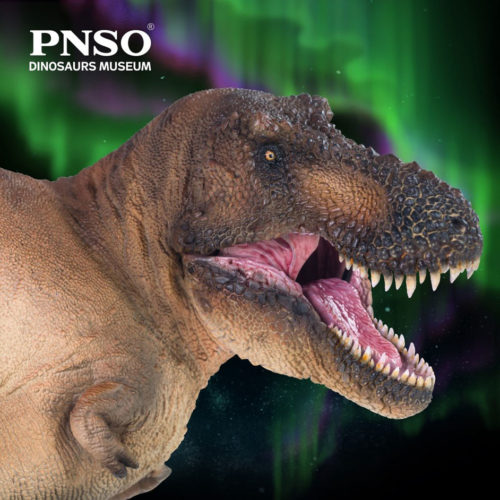 Close view of the head of the PNSO Andrea the female T. rex