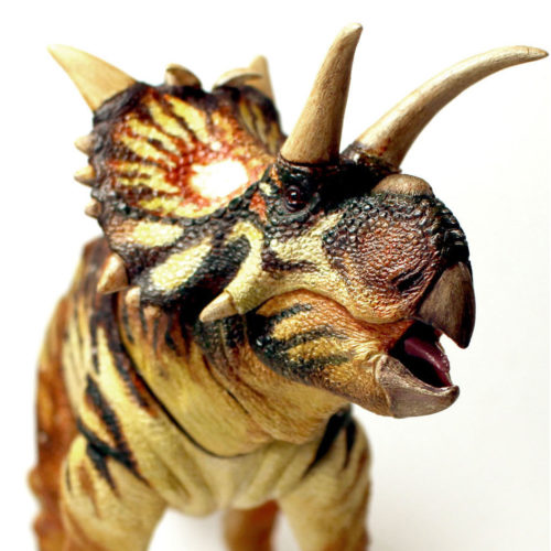 Xenoceratops dinosaur model.