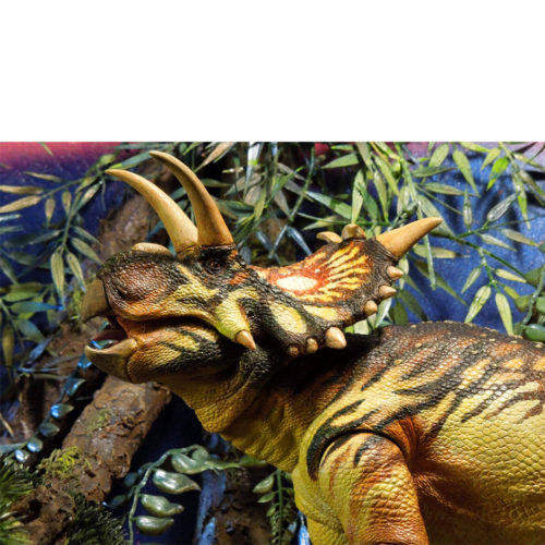 Xenoceratops dinosaur model displayed.