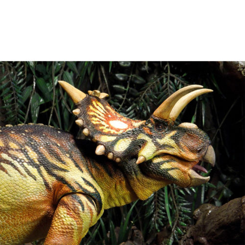 Xenoceratops model.