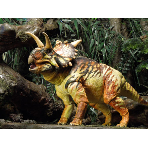 Xenoceratops foremostensis model.