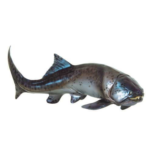 PNSO Zaha the Dunkleosteus Model