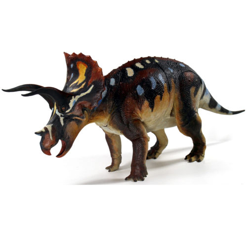 Triceratops horridus (Adult)