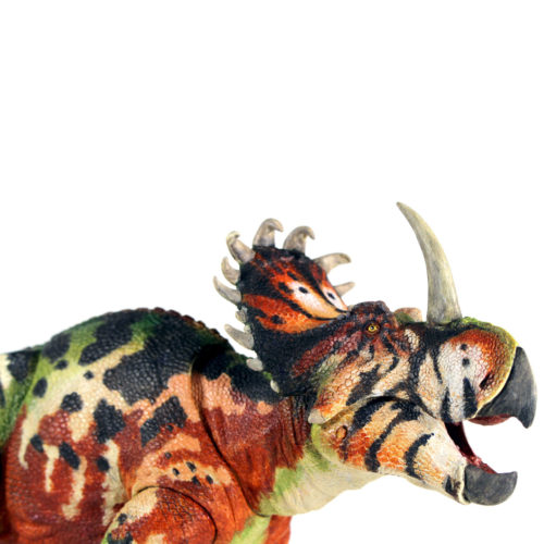 Sinoceratops model