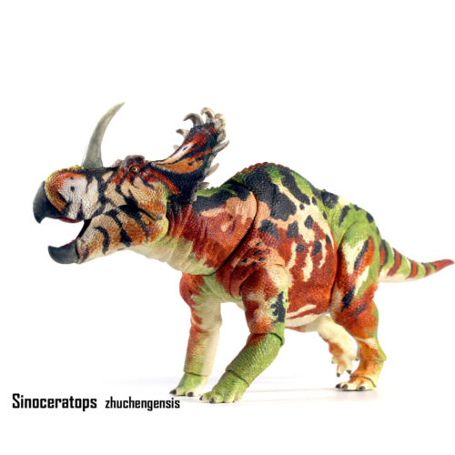 Beasts of the Mesozoic Sinoceratops zhuchengensis