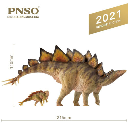 PNSO Stegosaurus Biber and Rook measurements