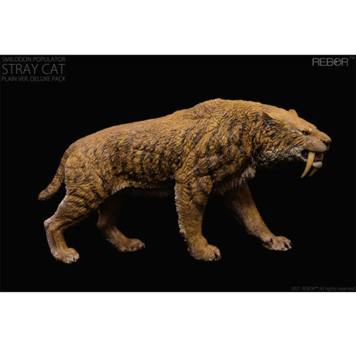 Rebor Smilodon populator Stray Cat Plain replica