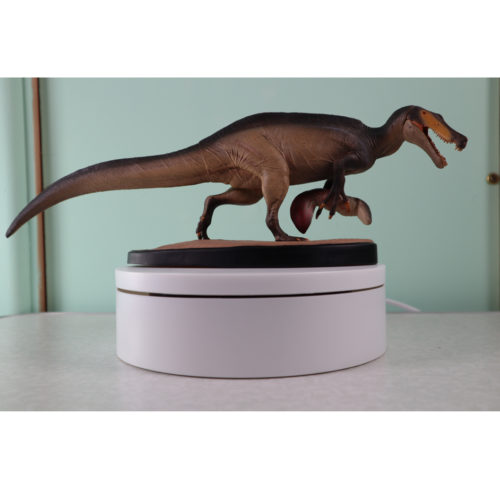 YvY Figures model Irritator on a turntable