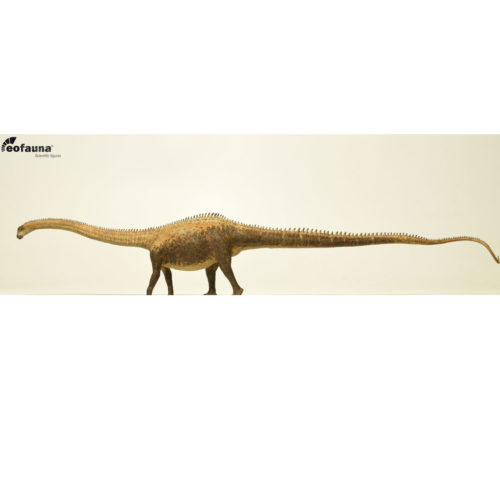 Eofauna Diplodocus dinosaur model