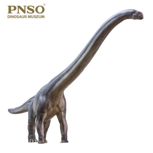 PNSO Er-ma the Mamenchisaurus (2021)