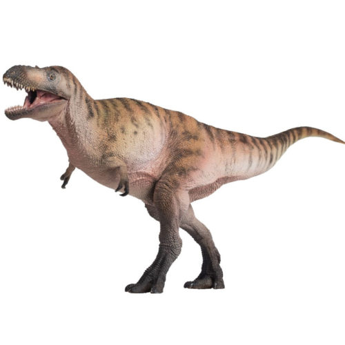 PNSO Logan the Nanotyrannus dinosaur model