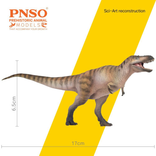 Nanotyrannus model measurements.