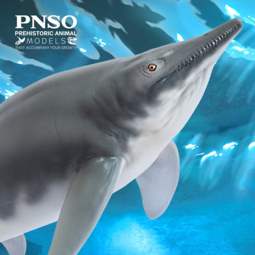 PNSO Tucson the Himalayasaurus marine reptile model