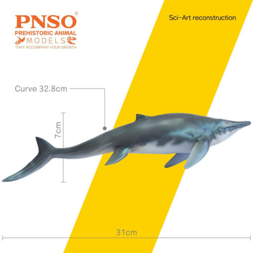 Marine reptile measurements.