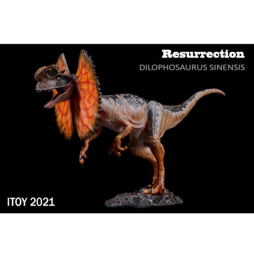 ITOY Studio Dilophosaurus sinensis (2021)